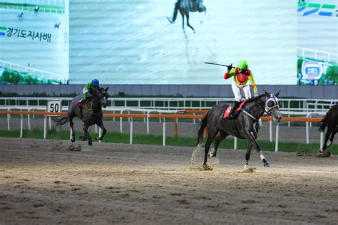 seoul horse racing tips|Latest Horse Racing Tips for Seoul .